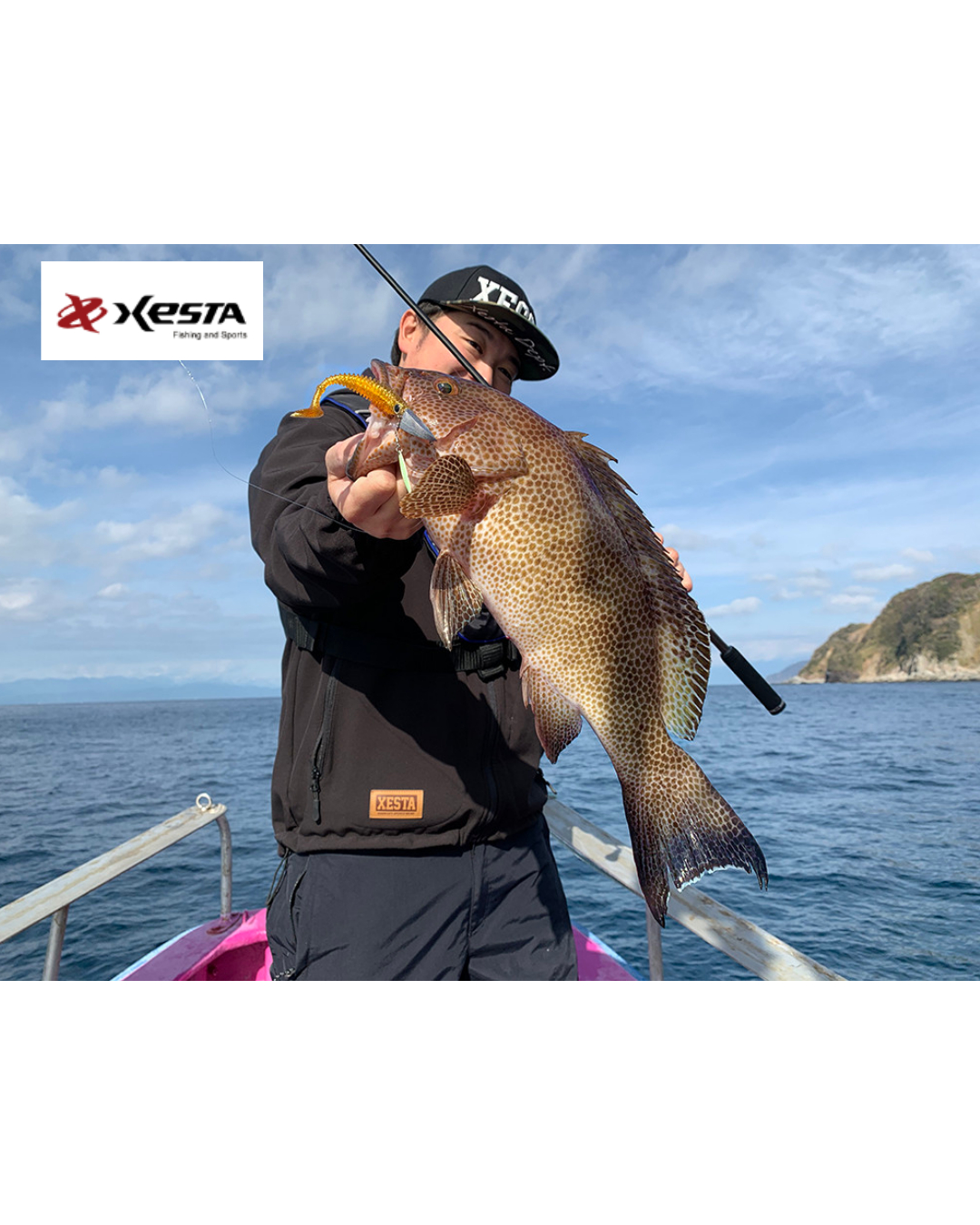 XESTA SHAD STAR 3.5 inch