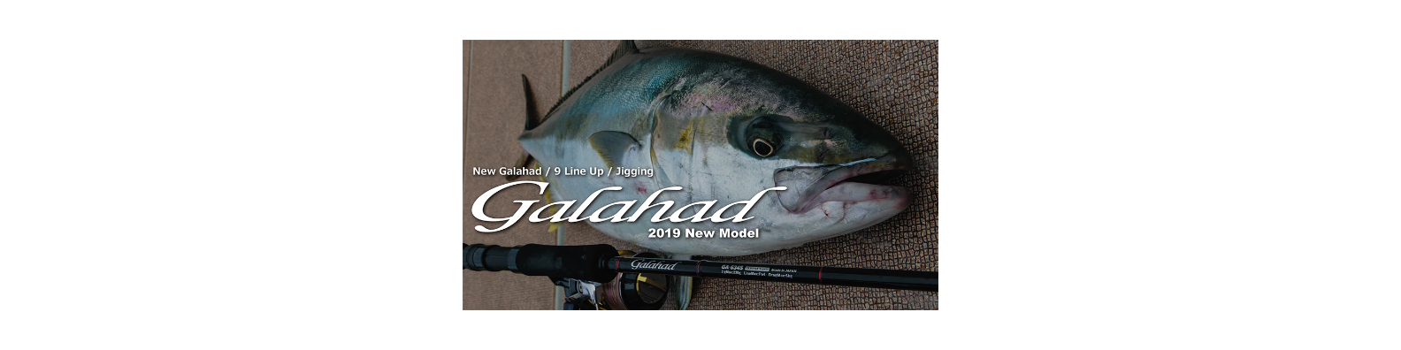 Galahad 2019 Spinning Model
