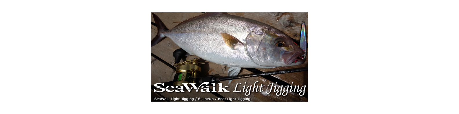 Seawalk Light Jigging Spinnig Model