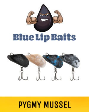 BLUE LIP BAITS Pygmy Mussel