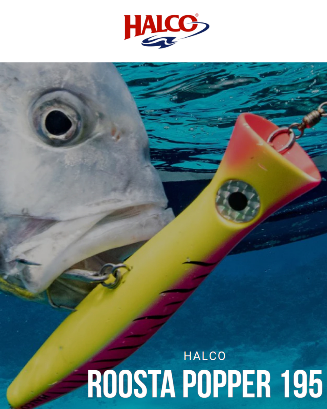 Halco Roosta Popper 195