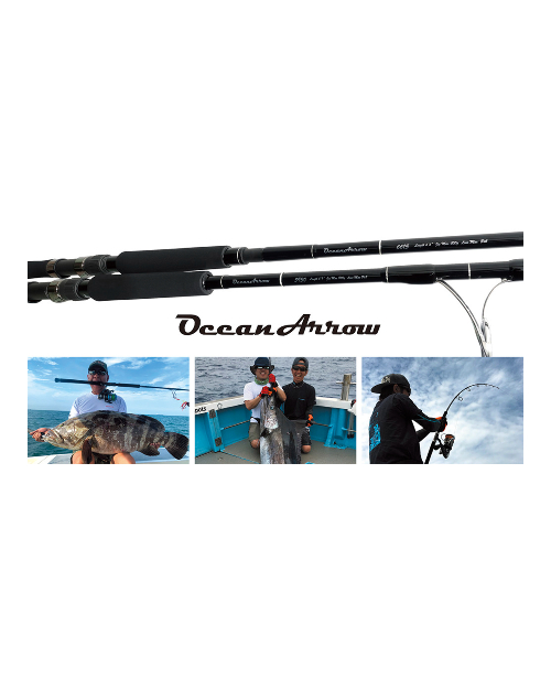 Ripple Fisher Ocean Arrow Jigging Spinning Model